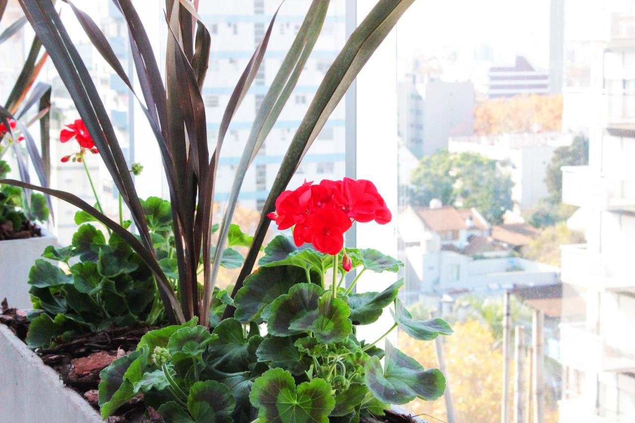 Hotel Boutique Devoto บัวโนสไอเรส ภายนอก รูปภาพ